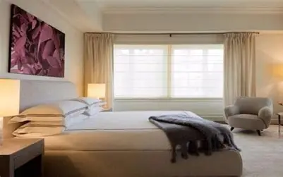 جناح الزعامة الفاخر